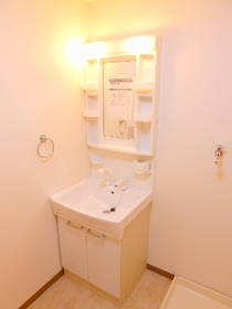 Washroom. Bathroom Vanity
