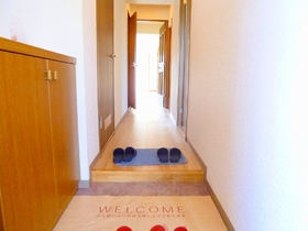 Entrance. Airy entrance