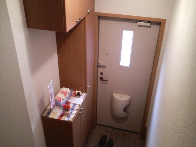 Entrance. Bright is the entrance of with storage