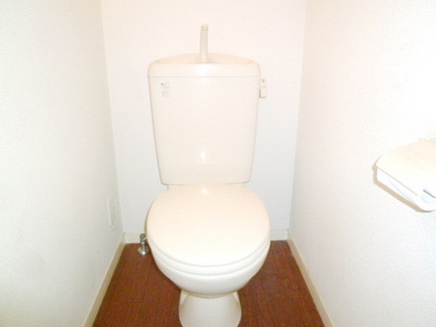 Toilet. Toilet