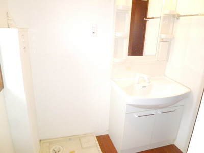 Washroom. Shampoo dresser