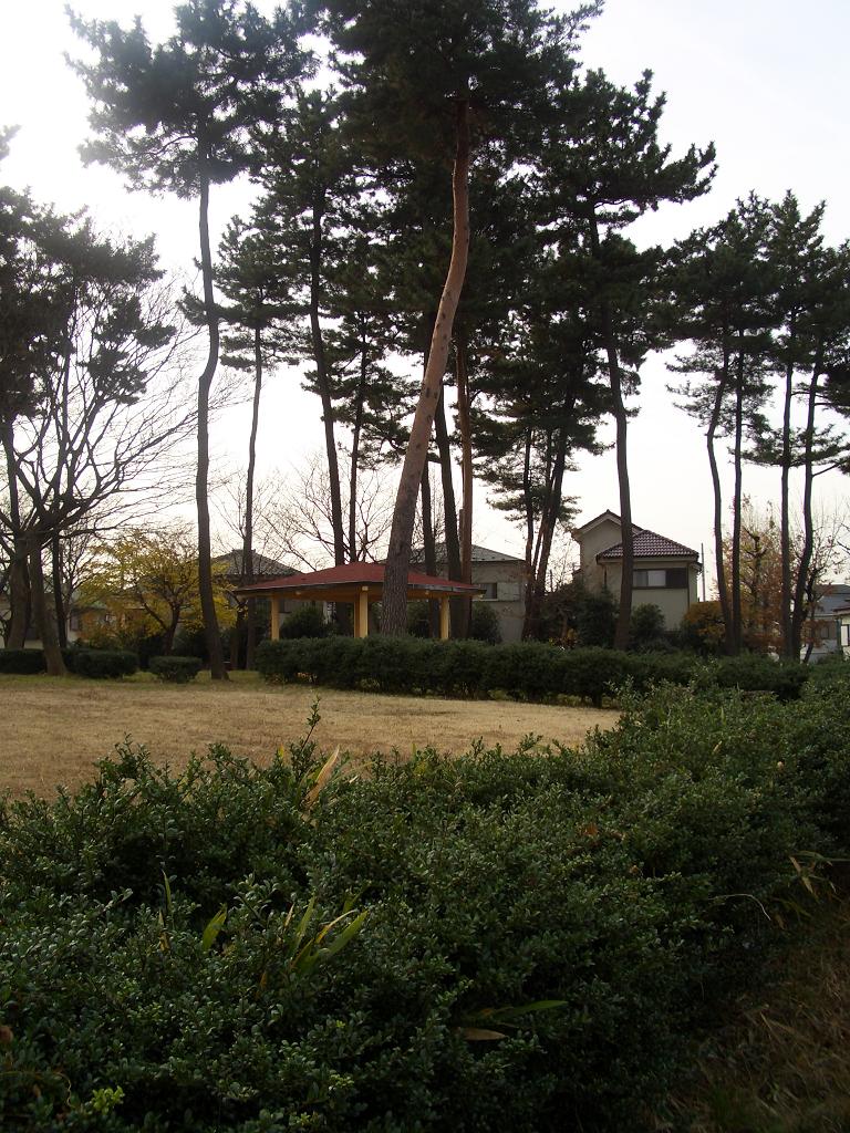 park. Ishigami 250m until Sanchome green space (park)