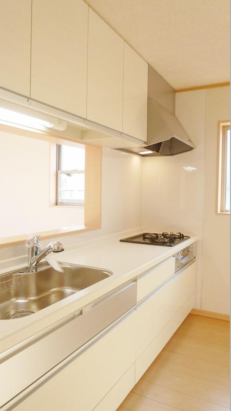 Kitchen. Indoor (12 May 2012) shooting