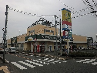 Supermarket. Inageya to (super) 480m