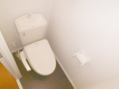 Toilet. Toilet with a bidet