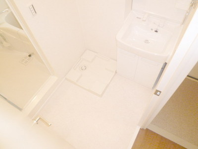 Washroom. Indoor Laundry Storage