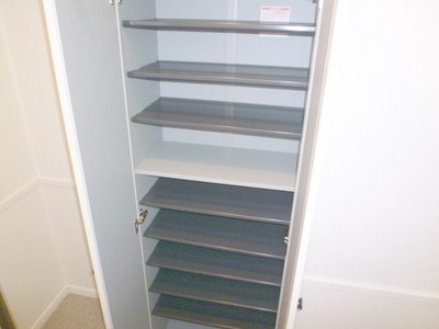 Other. There shoes BOX