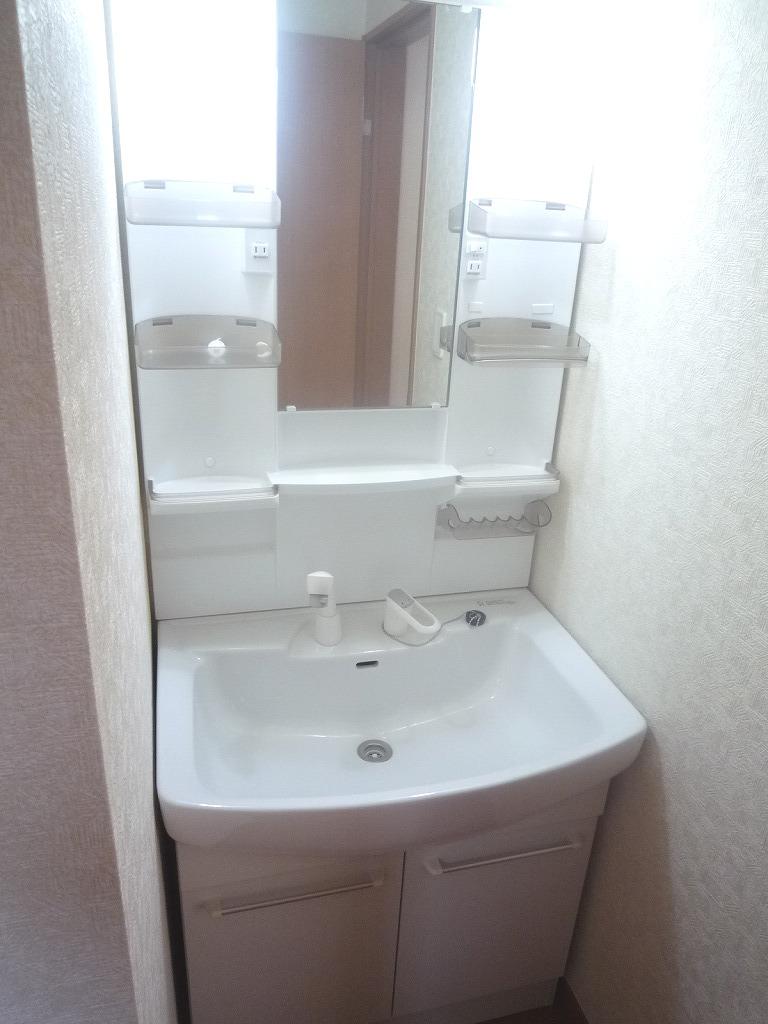 Wash basin, toilet. Vanity with shower: 1 Building 2013 October