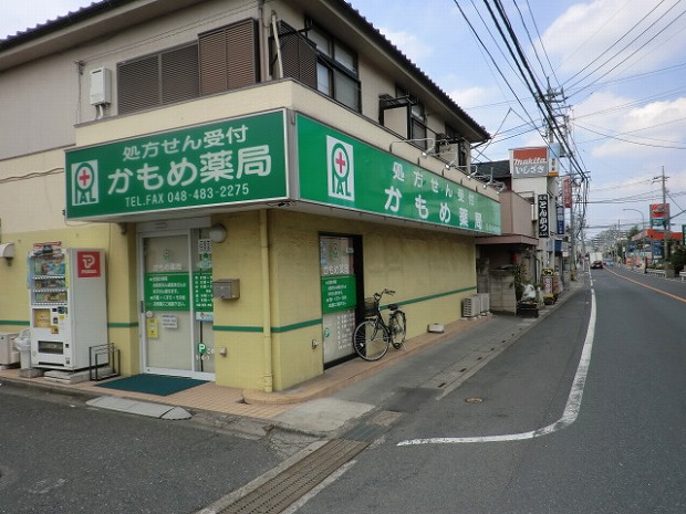 Other. Seagull 289m until the pharmacy (Other)