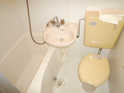 Toilet. Western-style toilet