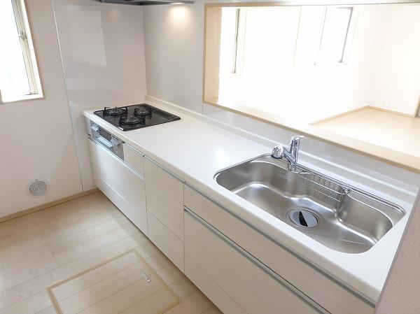 Kitchen. Indoor (09 May 27, 2013) Shooting