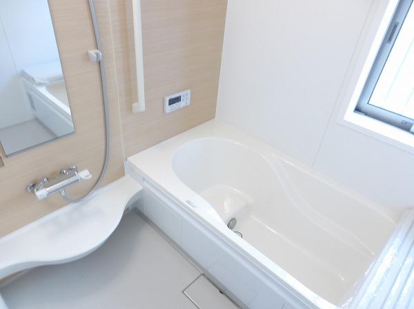 Bathroom. Indoor (09 May 27, 2013) Shooting