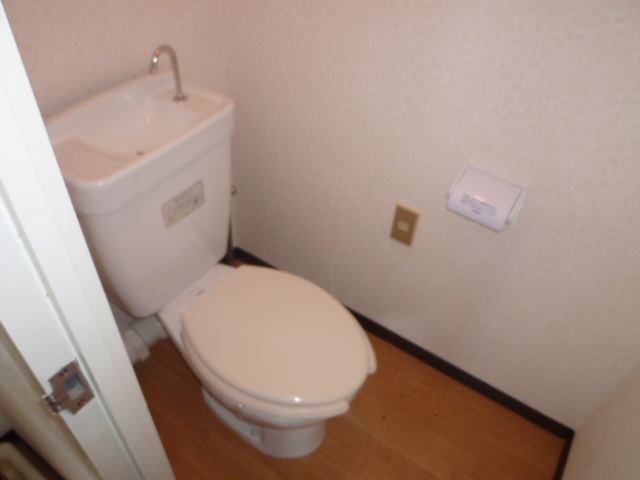 Toilet. It is a photograph of another room