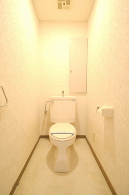 Toilet. Your hand-wash