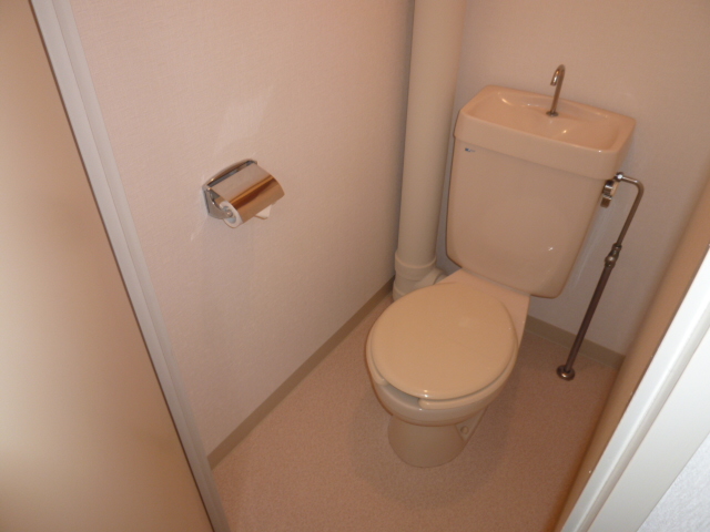 Toilet. It is a photograph of another room