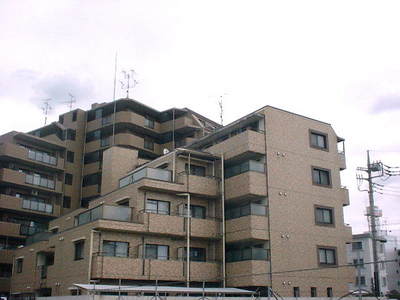 Building appearance. appearance