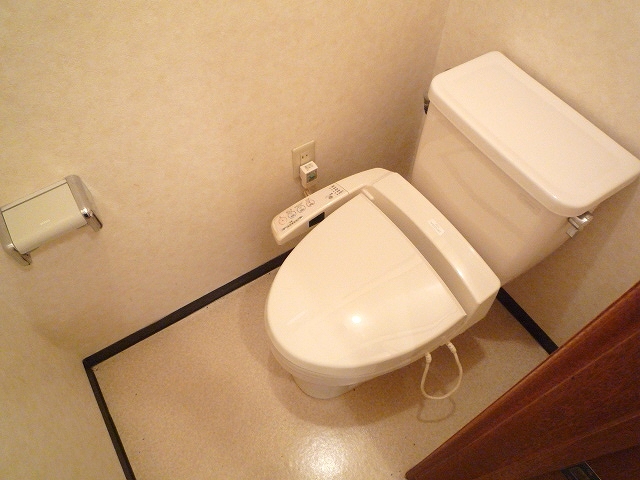 Toilet. Another, Room photo