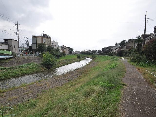 Other. Surrounding environment