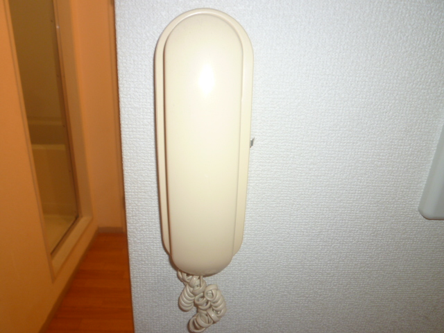 Security. It is a photograph of another room