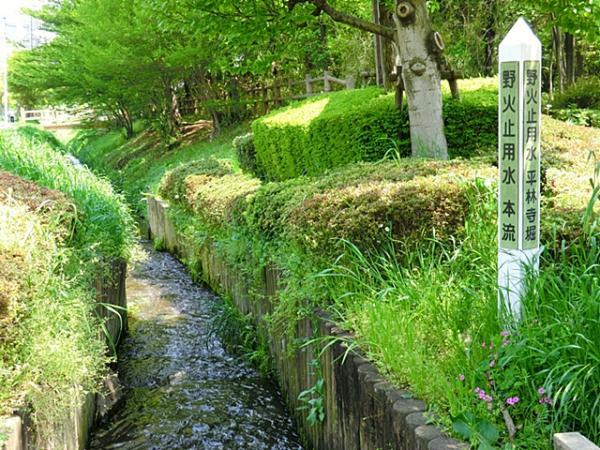 Local appearance photo. park