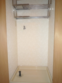 Other Equipment. Door with a washing machine inside the room (found on the top shelf)