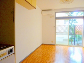 Living and room. Clean cushion floor