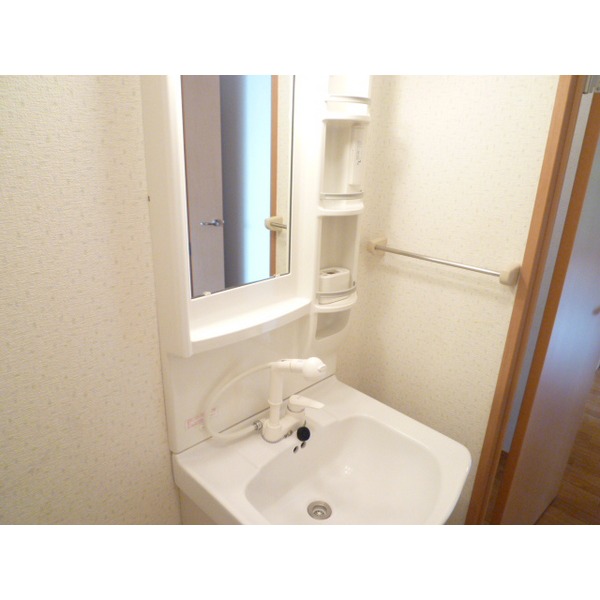 Washroom. Shampoo dresser