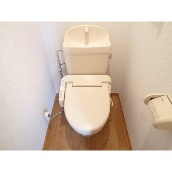 Toilet. Washlet with