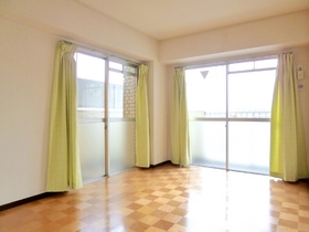 Living and room. Two-sided lighting Western-style