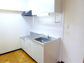 Kitchen. The kitchen is gas stove installation Allowed