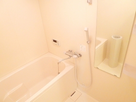 Bath. Bathroom with additional heating