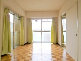 Living and room. Two-sided lighting Western-style