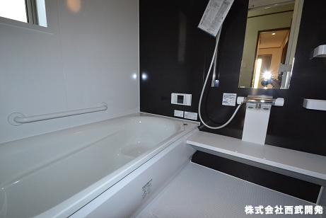 Bathroom. Bathroom (12 May 2012) shooting