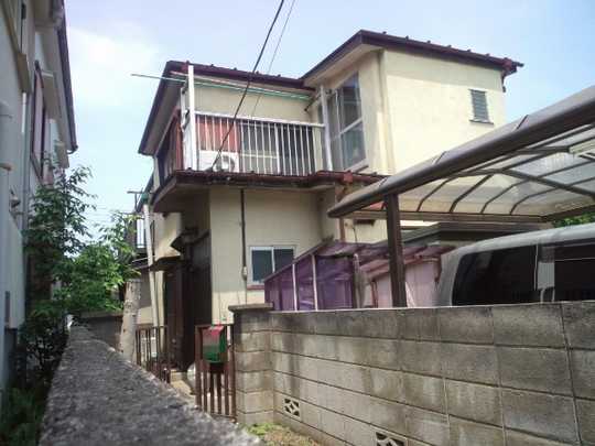 Local land photo. Appearance (1)