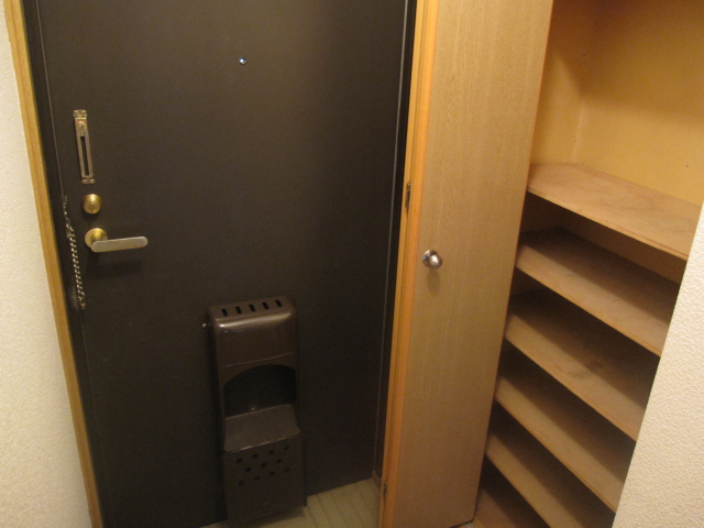 Entrance. Shoes is a box large