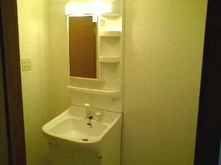 Washroom. Shampoo dresser