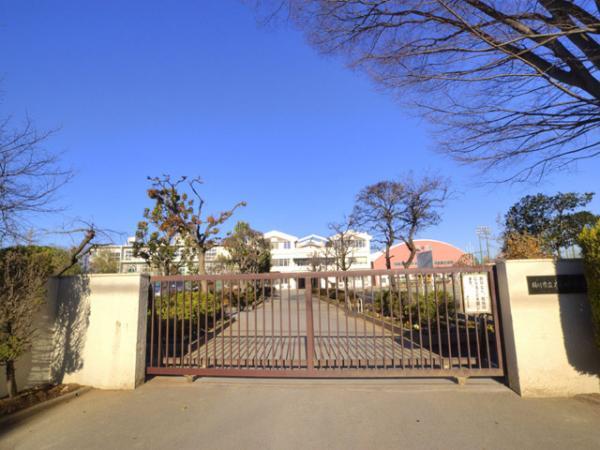 Junior high school. Okegawa 400m until junior high school