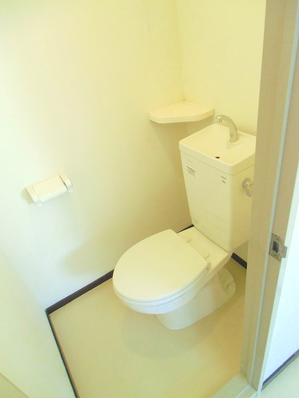 Toilet. It will be Western-style flush toilet