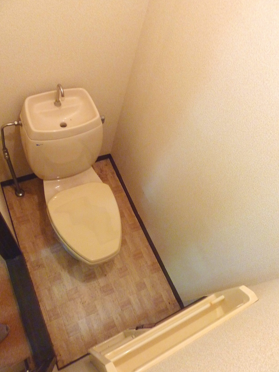 Toilet. It will be Western-style flush toilet