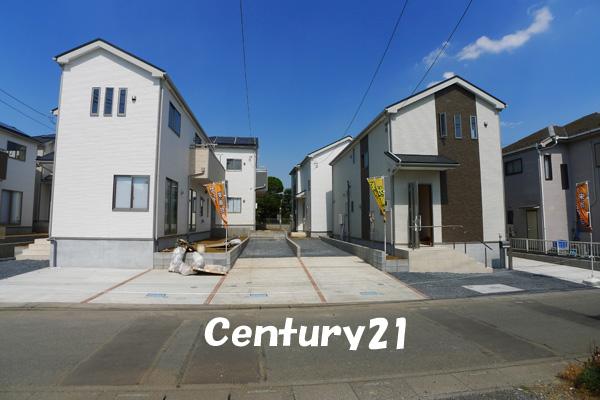 Local photos, including front road