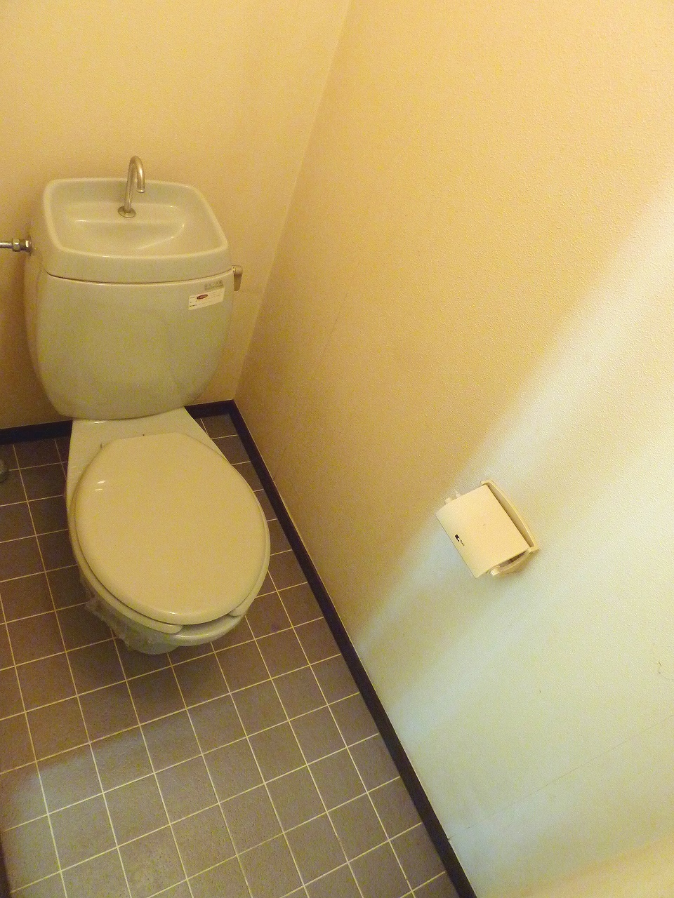 Toilet. It will be Western-style flush toilet
