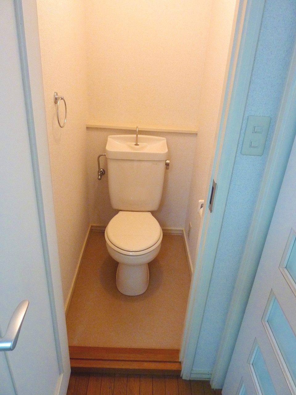 Toilet. It will be Western-style flush toilet