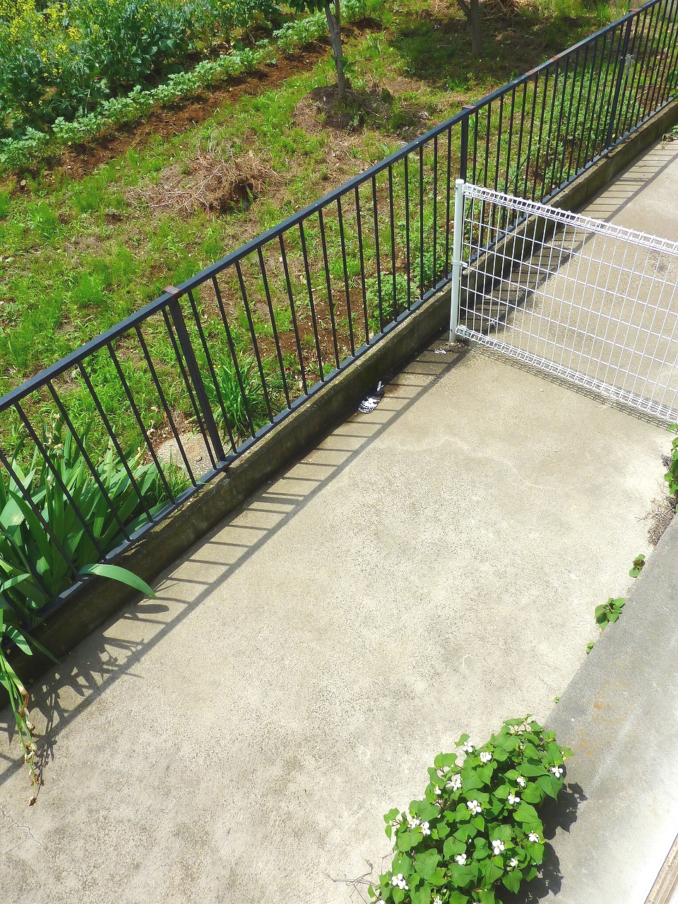 Balcony. Spacious balcony! Sunny also good! ! 