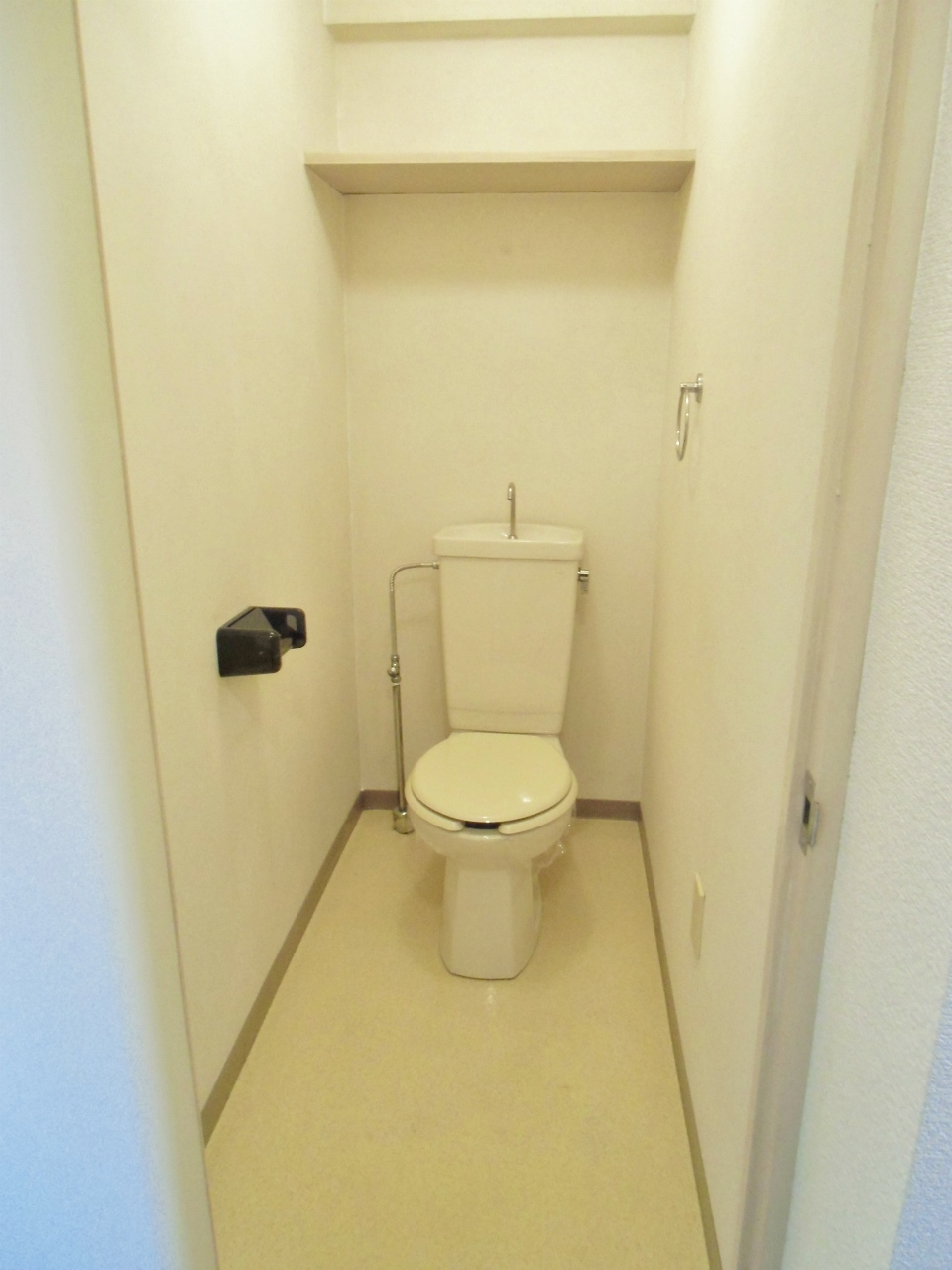 Toilet. It will be Western-style flush toilet