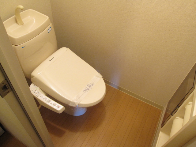 Toilet. It is a bit of storage is happy