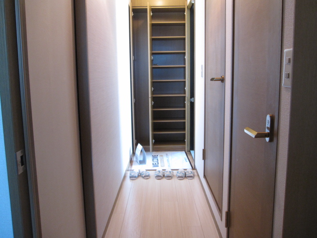 Entrance. Plenty of shoe box and the corridor