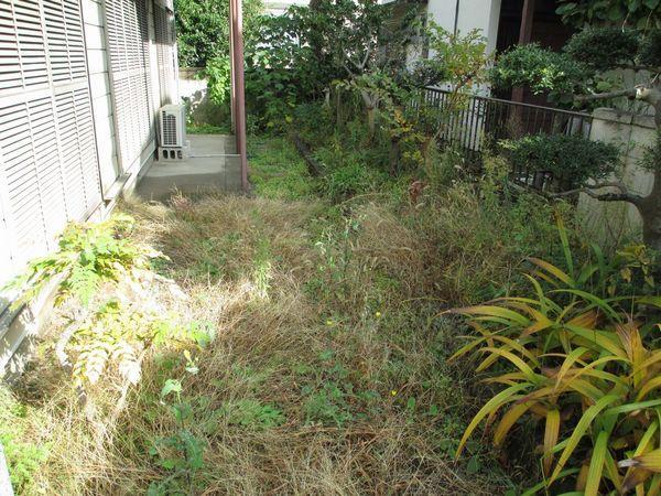 View photos from the local