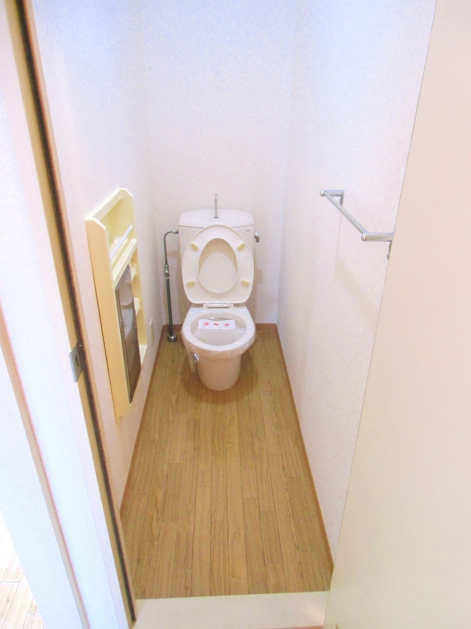 Toilet. It will be Western-style flush toilet