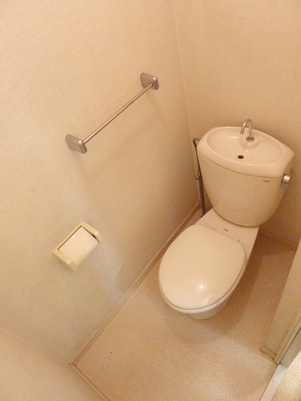 Toilet. It will be Western-style flush toilet