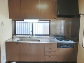 Kitchen. 3-neck gas stove of the system kitchen (with a fish grill)